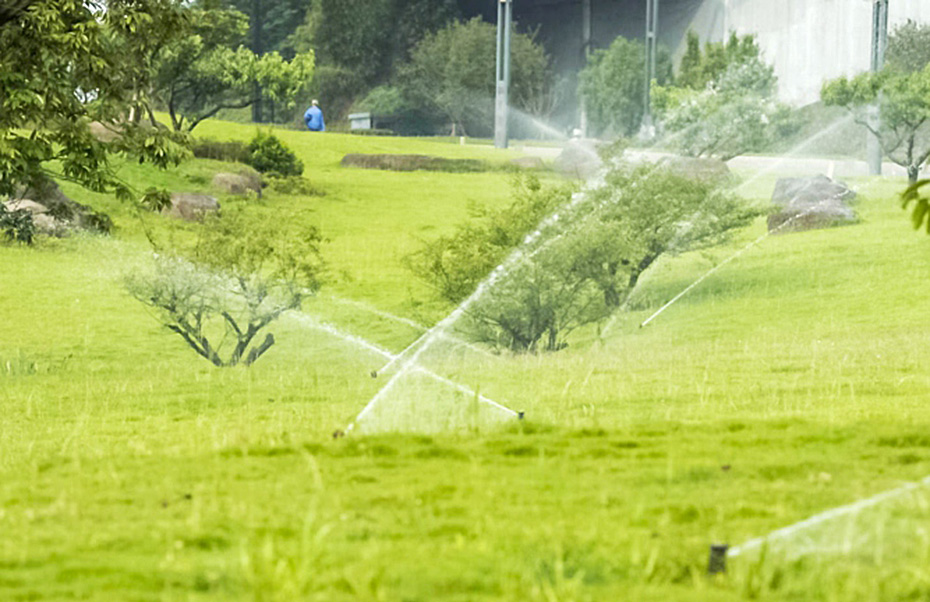 园林绿化维护 泸州园林