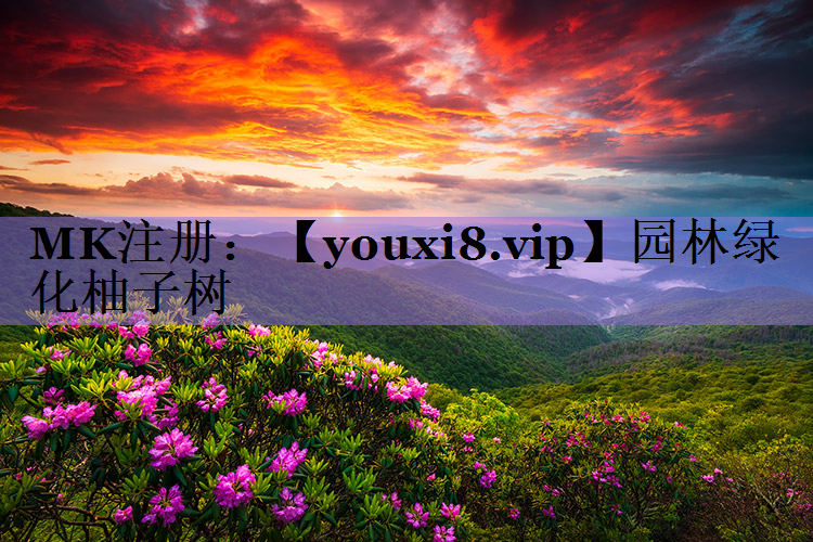 园林绿化柚子树