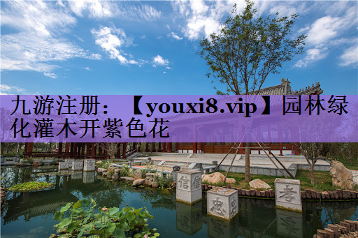 园林绿化灌木开紫色花