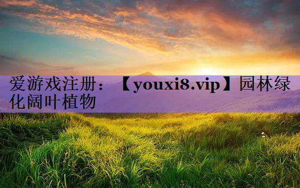 园林绿化阔叶植物