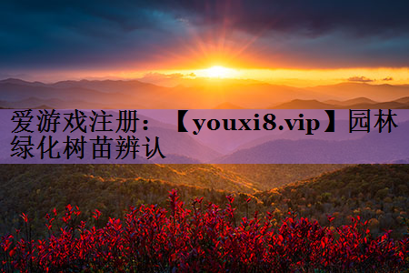 园林绿化树苗辨认