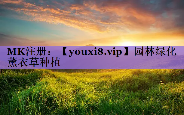 园林绿化薰衣草种植